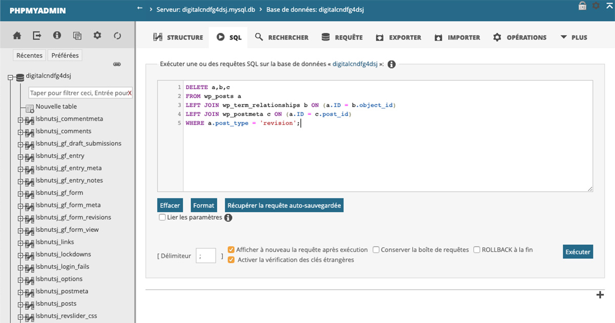 Révisions WordPress SQL